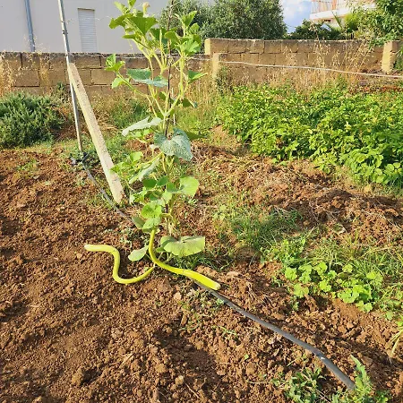 Appartamento A Un Passo Dal Tramonto Marsala